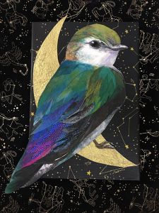 14962227_1194160577333930_134007489_n