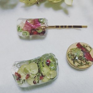 img_20161008_204219-%e3%82%b3%e3%83%94%e3%83%bc