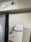 img_5436