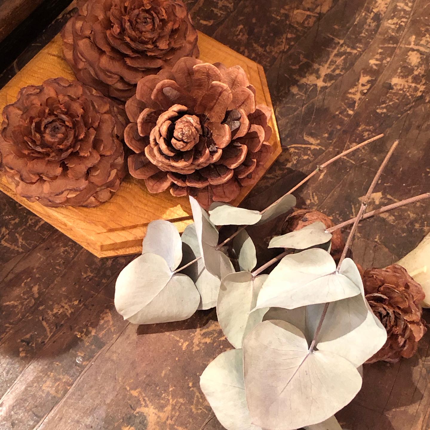 ナプキンリング、松ぼっくりの画像のようです